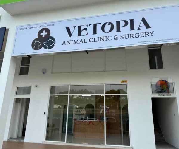 Vetopia Animal Clinic & Surgery